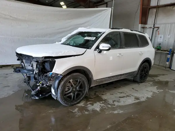 5XYP5DGC3RG483384 2024 KIA TELLURIDE - Image 1