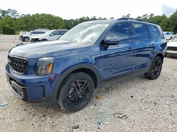 5XYP5DGC3RG493137 2024 KIA TELLURIDE - Image 1