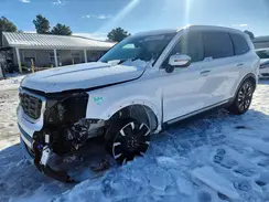 5XYP5DGC3RG494952 2024 KIA TELLURIDE