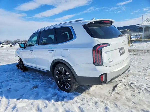 5XYP5DGC3RG494952 2024 KIA TELLURIDE - Image 2