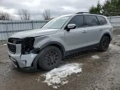 5XYP5DGC3RG495146 2024 KIA TELLURIDE