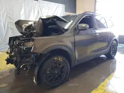5XYP5DGC3RG498967 2024 KIA TELLURIDE