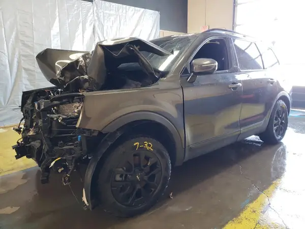 5XYP5DGC3RG498967 2024 KIA TELLURIDE - Image 1