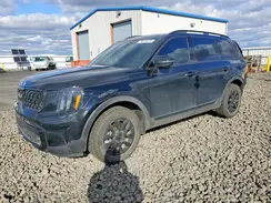 5XYP5DGC3RG517047 2024 KIA TELLURIDE