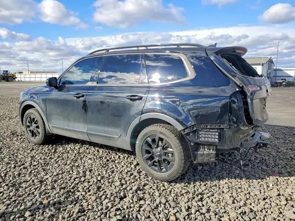 5XYP5DGC3RG517047 2024 KIA TELLURIDE - Image 2