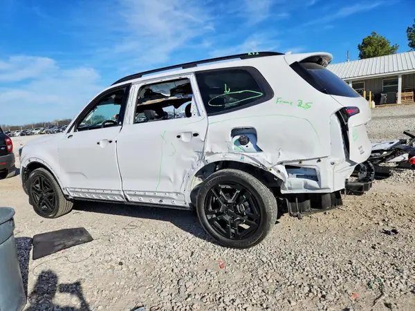 5XYP5DGC3RG553238 2024 KIA TELLURIDE - Image 2