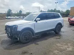 5XYP5DGC3RG553935 2024 KIA TELLURIDE