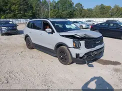 5XYP5DGC3RG558102 2024 KIA TELLURIDE