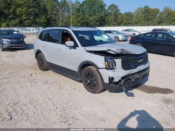 5XYP5DGC3RG558102 2024 KIA TELLURIDE - Image 1
