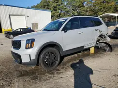 5XYP5DGC3SG613024 2025 KIA TELLURIDE