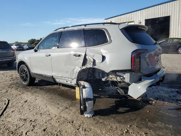 5XYP5DGC3SG613024 2025 KIA TELLURIDE - Image 2