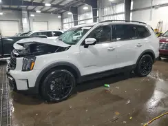 5XYP5DGC3SG614772 2025 KIA TELLURIDE