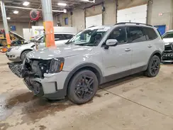5XYP5DGC3SG619180 2025 KIA TELLURIDE