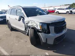 5XYP5DGC3SG641521 2025 KIA TELLURIDE
