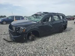 5XYP5DGC3SG658450 2025 KIA TELLURIDE