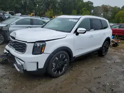 5XYP5DGC3SG683459 2025 KIA TELLURIDE