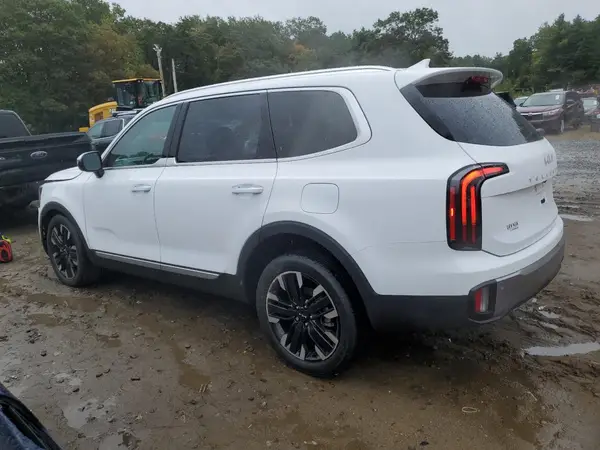 5XYP5DGC3SG683459 2025 KIA TELLURIDE - Image 2