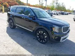 5XYP5DGC4PG344006 2023 KIA TELLURIDE