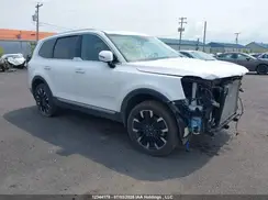 5XYP5DGC4PG404835 2023 KIA TELLURIDE