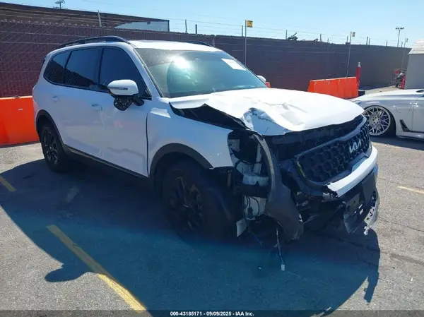 5XYP5DGC4RG417118 2024 KIA TELLURIDE - Image 1