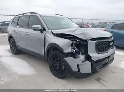 5XYP5DGC4RG427373 2024 KIA TELLURIDE