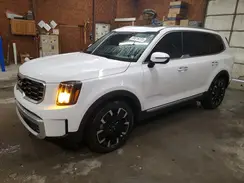 5XYP5DGC4RG429074 2024 KIA TELLURIDE