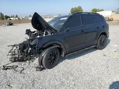 5XYP5DGC4RG443279 2024 KIA TELLURIDE