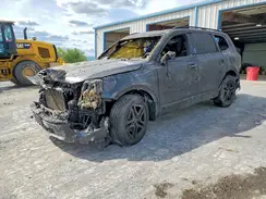 5XYP5DGC4RG445971 2024 KIA TELLURIDE