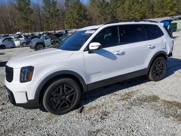 5XYP5DGC4RG447493 2024 KIA TELLURIDE - Image 1