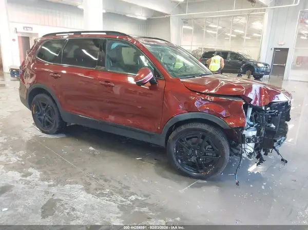 5XYP5DGC4RG448496 2024 KIA TELLURIDE - Image 1