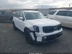 5XYP5DGC4RG449163 2024 KIA TELLURIDE