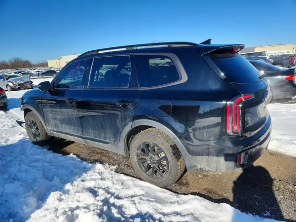 5XYP5DGC4RG475066 2024 KIA TELLURIDE - Image 2