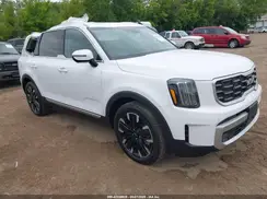 5XYP5DGC4RG486441 2024 KIA TELLURIDE