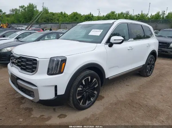 5XYP5DGC4RG486441 2024 KIA TELLURIDE - Image 2
