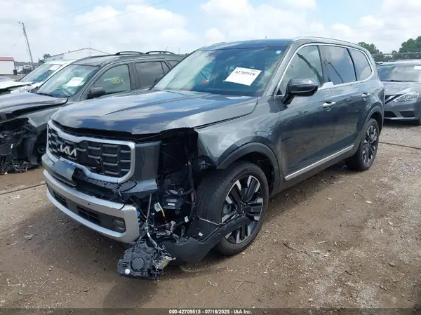 5XYP5DGC4RG494779 2024 KIA TELLURIDE - Image 2