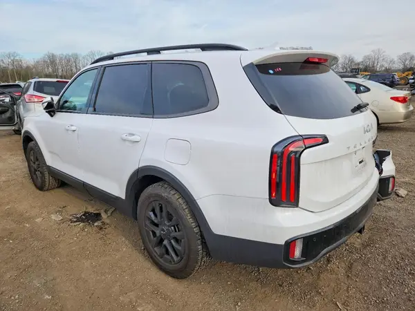 5XYP5DGC4RG497231 2024 KIA TELLURIDE - Image 2