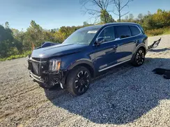 5XYP5DGC4RG499660 2024 KIA TELLURIDE