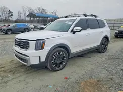 5XYP5DGC4RG502718 2024 KIA TELLURIDE