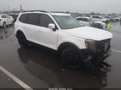 5XYP5DGC4RG502833 2024 KIA TELLURIDE