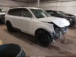 5XYP5DGC4RG504405 2024 KIA TELLURIDE