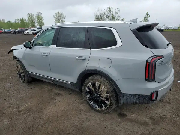 5XYP5DGC4RG517882 2024 KIA TELLURIDE - Image 2