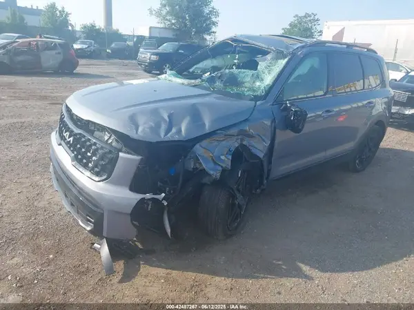 5XYP5DGC4RG518806 2024 KIA TELLURIDE - Image 2