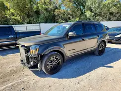 5XYP5DGC4RG536819 2024 KIA TELLURIDE
