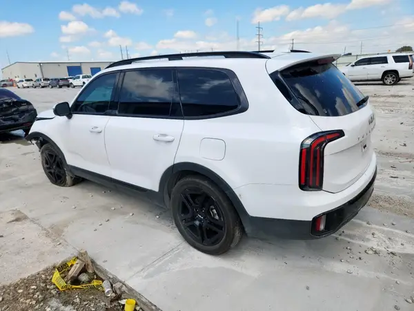 5XYP5DGC4RG539378 2024 KIA TELLURIDE - Image 2