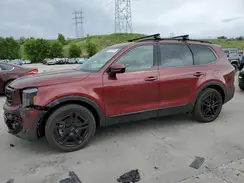 5XYP5DGC4RG541146 2024 KIA TELLURIDE