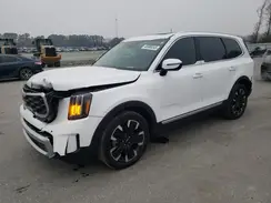 5XYP5DGC4RG544175 2024 KIA TELLURIDE
