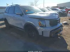 5XYP5DGC4RG554222 2024 KIA TELLURIDE