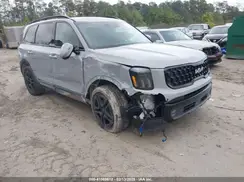 5XYP5DGC4RG557203 2024 KIA TELLURIDE