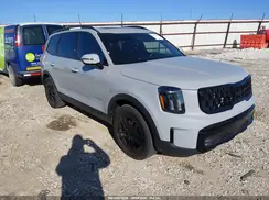 5XYP5DGC4SG615607 2025 KIA TELLURIDE