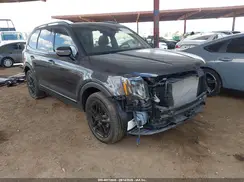 5XYP5DGC4SG616644 2025 KIA TELLURIDE